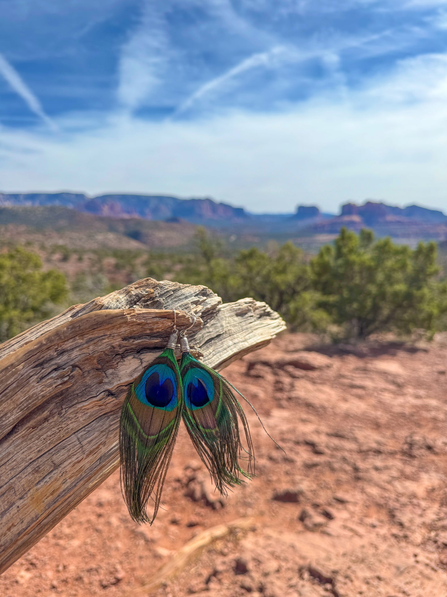 Bohemian Dream Earrings