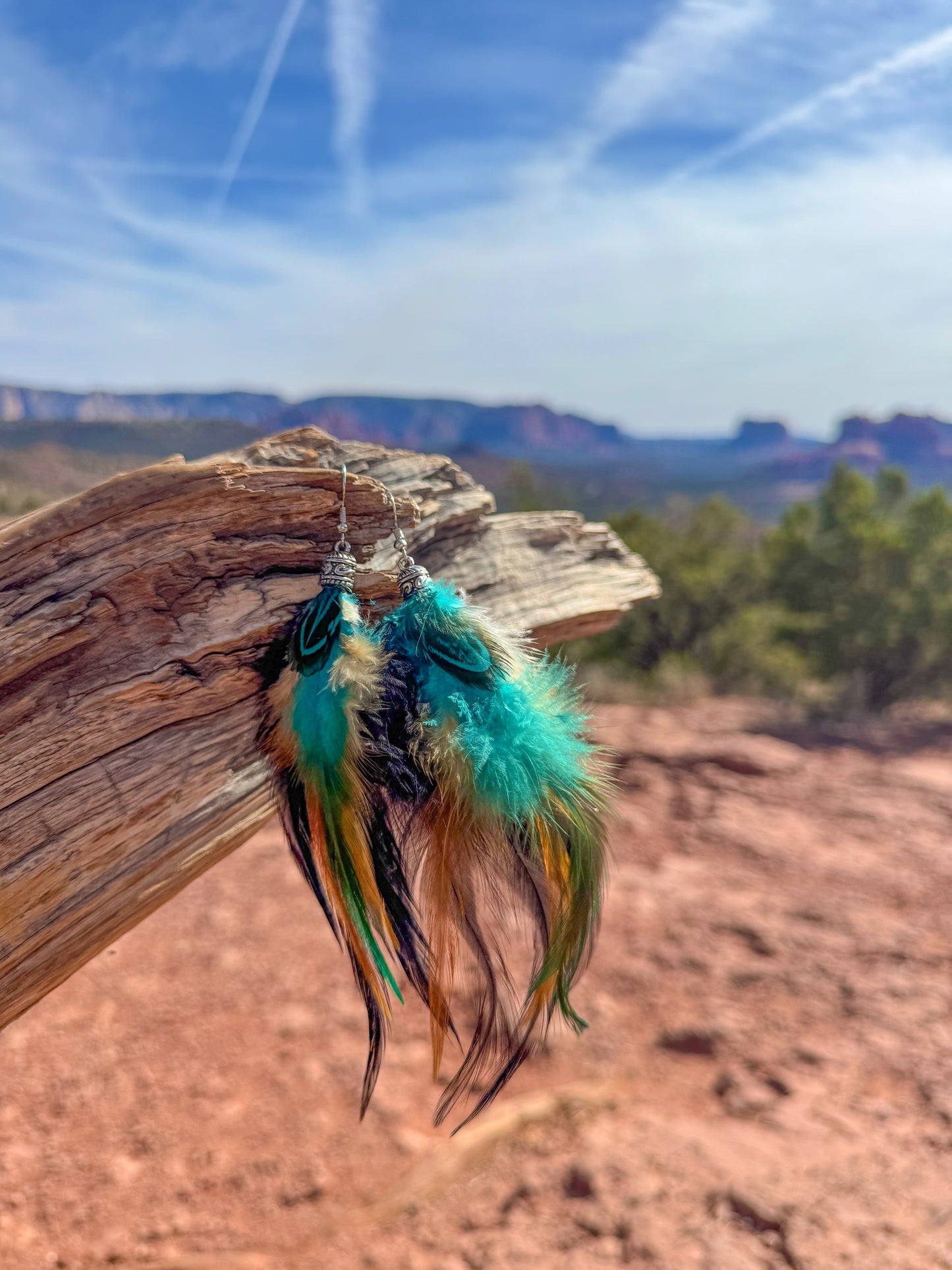 Twilight Dancer Feather Earrings