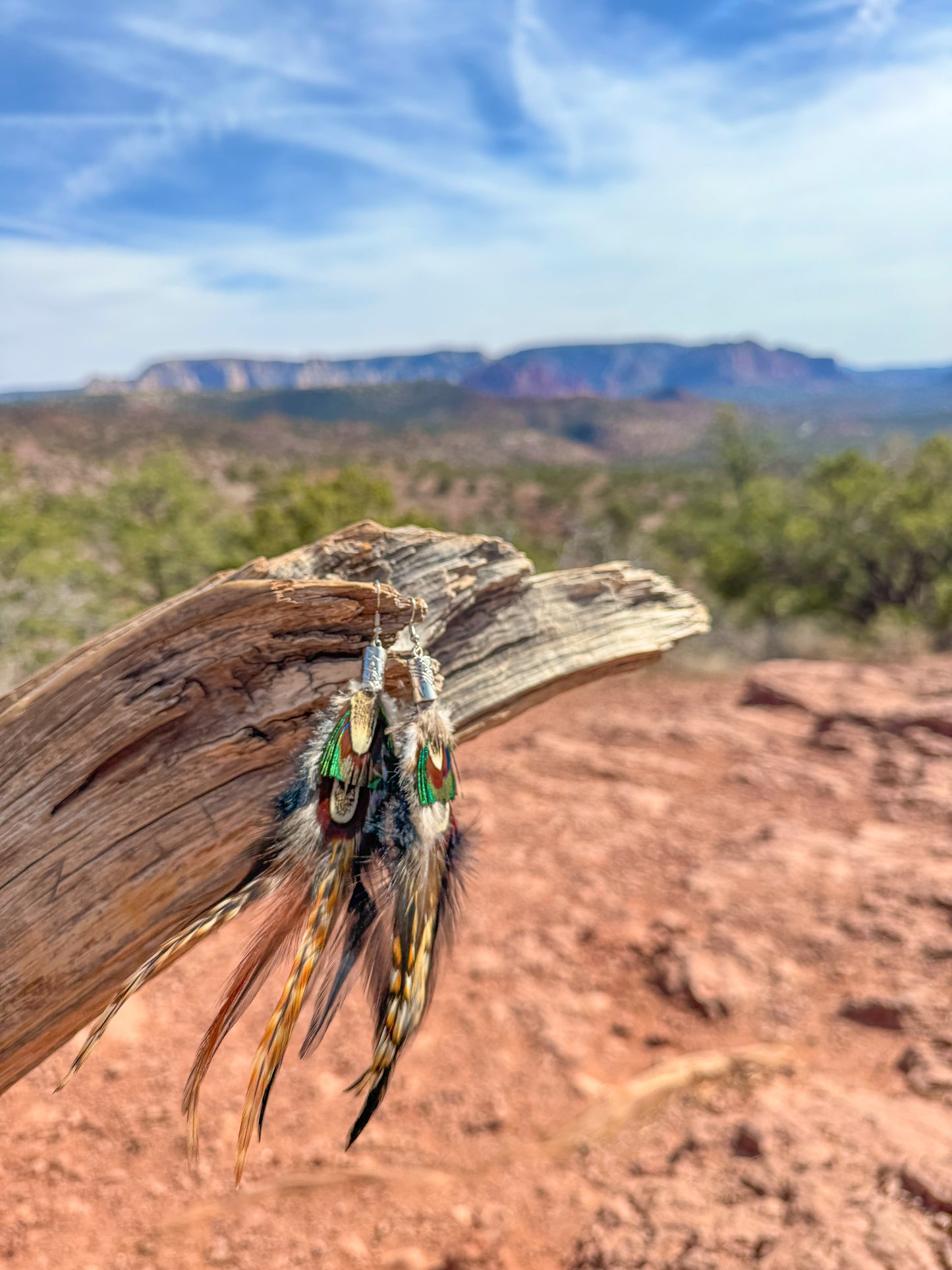 Rustic Horizon Feather Earrings