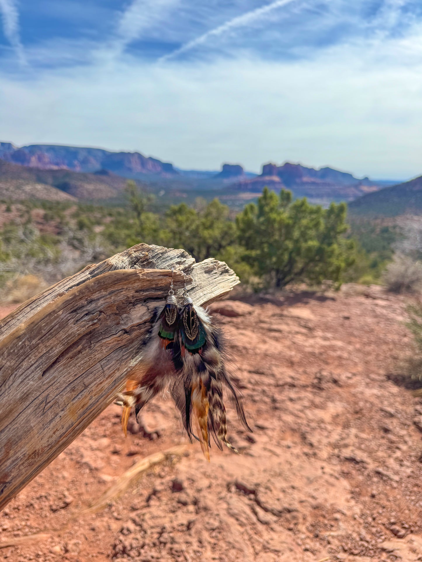 Wildwood Feather Earrings