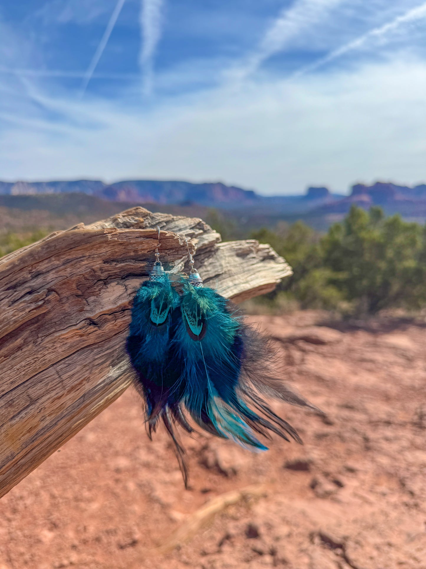 Hummingbird Sky Feather Earrings