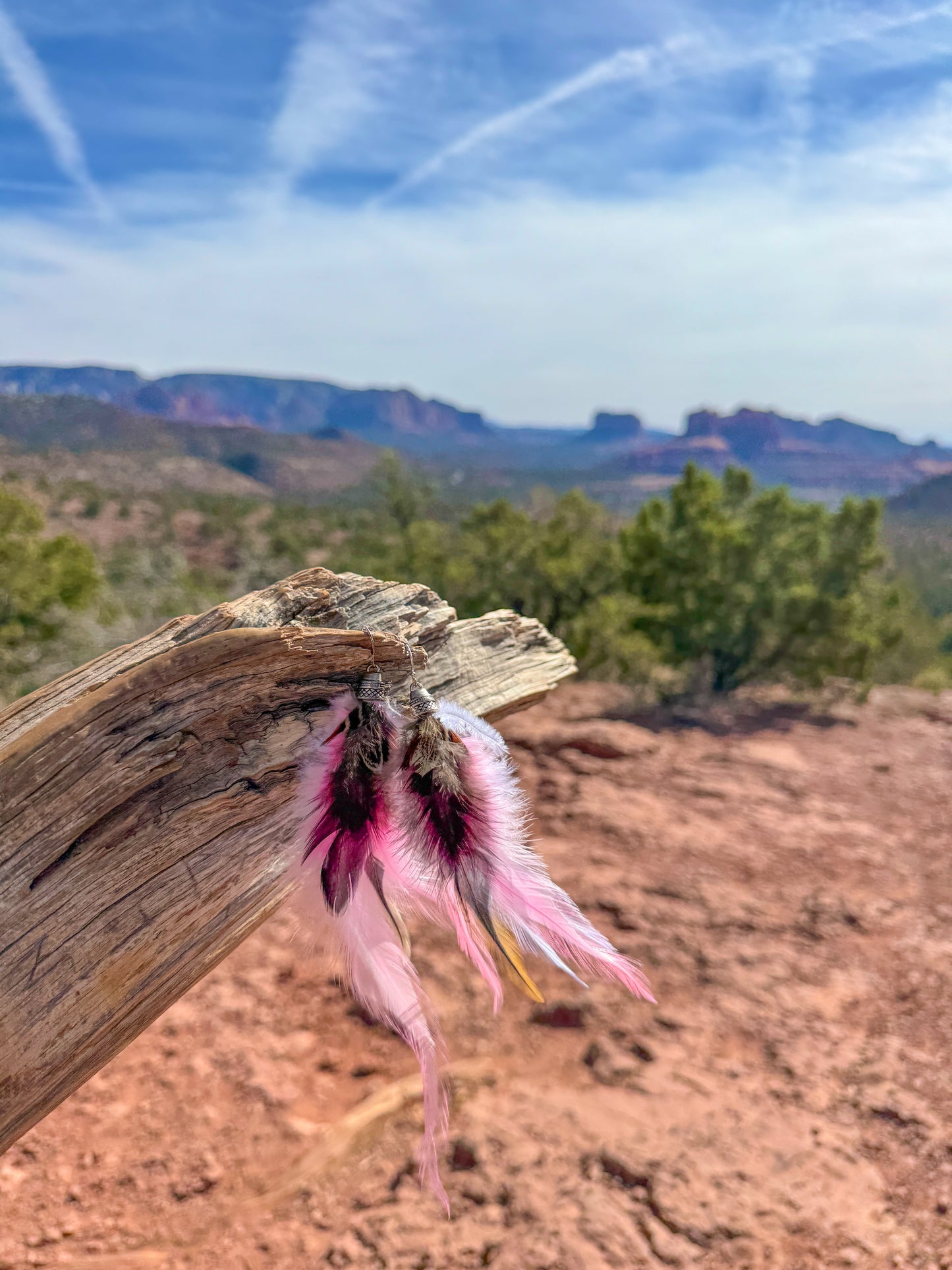 Blush Canyon Feather Earrings