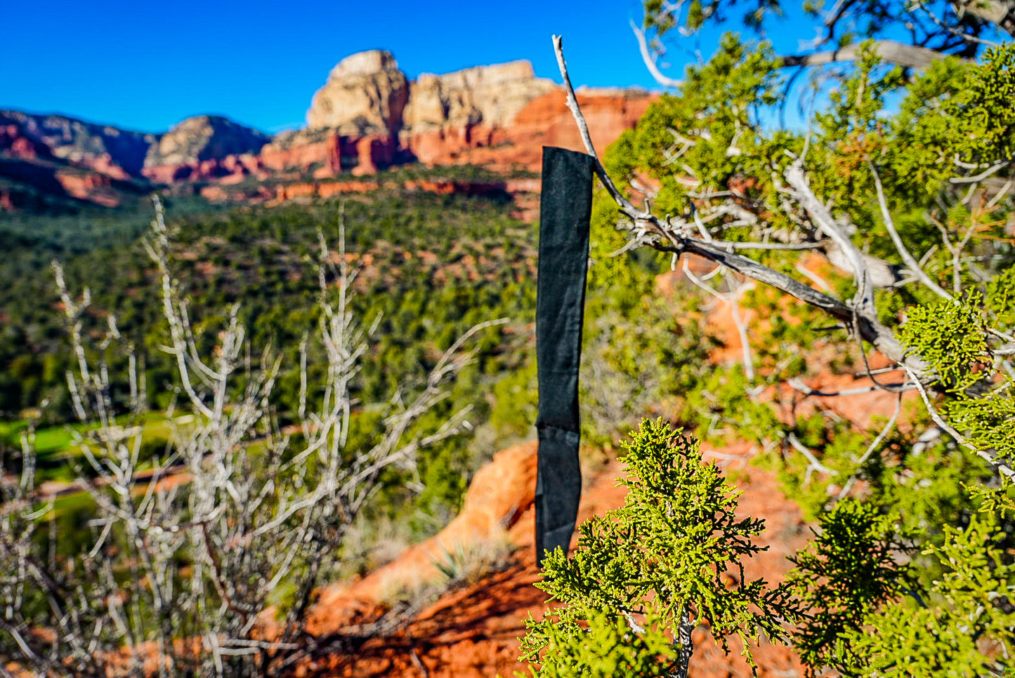 Midnight Mile Neck Coolie