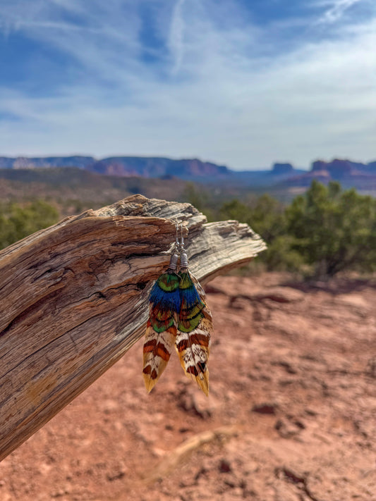 Painted Desert Feather Earrings