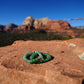 Desert Sage Bracelet